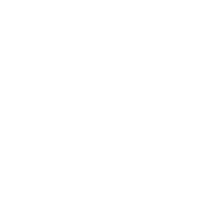 aplasticplant
